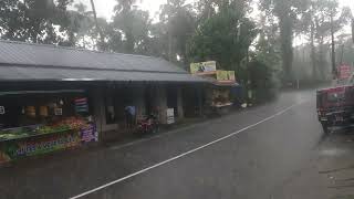 One wonderful day at — Ayakkad Village, amidst heavy monsoon, Eranakulam District, Kerala, India.