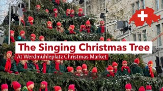 🎄♬ The Singing Christmas Tree 🇨🇭