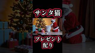 プレゼントを配るサンタ猫【AI生成動画】　#ai動画 #sora #クリスマス