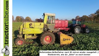 Selbstgebauter Häcksler nach 30 Jahren wieder voll im Einsatz  - AS Terhuf