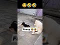 funny videos #funny #video 😂🤣