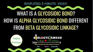 What is a Glycosidic bond? Difference between alpha and beta Glycosidic linkage