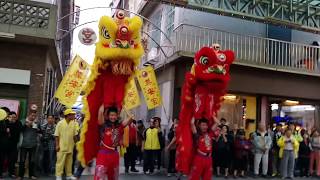 107羅東奠安宮恭祝北極玄天上帝聖誕遶境【礁溪武聖龍獅戰鼓團-醒獅團】