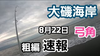 【大磯海岸】弓角 2022年8月22日速報 長潮 5時頃～7時頃 サーフトローリング 釣り 周りの様子も