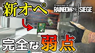 【R6S】これ新オペ弱いぞ！ｗ　使い方ちゃんと考えないと。　pc版 レインボーシックス シージ　RAINBOWSIX SIEGE　実況