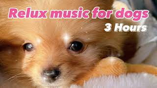 【3時間】犬が落ち着く音楽 | Relux music for dogs | 分離不安 | リラックス | ストレス解消 | Sleep Music | 犬のための音楽 | 犬のお留守番