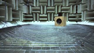 Ron Miles and the Anechoic Chamber