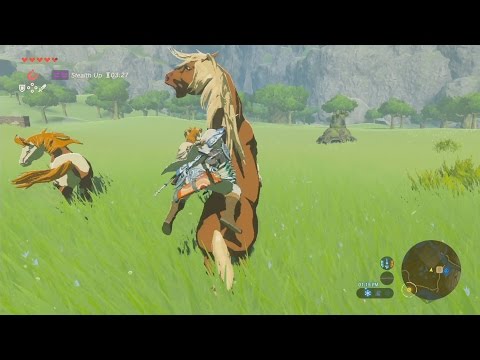 How To Catch A Horse in ZELDA Breath Of The Wild -FAST & EASY How To Catch A Horse in ZELDA Breath Of The Wild -FAST & EASY