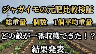 【ジャガイモ栽培】元肥比較検証！三つの異なる肥料で収穫したジャガイモを徹底比較しました