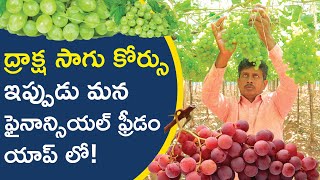 Grapes Farming Course in Telugu - How to Start a Grapes Farming? | Financial Freedom App
