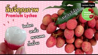 ลิ้นจี่ฮงฮวยพรี่เมี่ยม  Lemon Farm