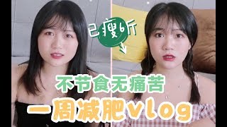 【减肥vlog】两周瘦6斤！不节食无痛苦 | 减脂餐分享 我的减肥日记