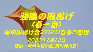 強風の凧揚げ(春一番)堀切凧揚げ会2020春季3回目