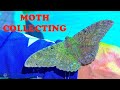 BLACK LIGHTING FOR MOTHS IN THE FLORIDA KEYS