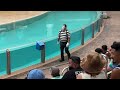 tom the hilarious seaworld mime must see comedy pranks