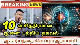 மூளையை பற்றிய நீங்கள் அறியாத 10 ஆச்சரியமூட்டும் தகவல்கள் மூளை பயிற்சி நியாபக சக்தி நியாபக மறதி