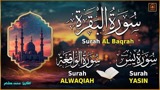 سورة البقرة، يس، الواقعة رقية للبيت وعلاج للسحر تلاوة تريح القلب وتشرح الصدر -  Sourate Al-Baqara