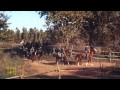 Allan Arkush on THE HORSE SOLDIERS