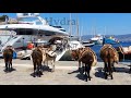 greece_ hydra poros aegina_ cruise with the ship anna maru