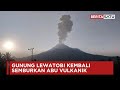 Kembali Erupsi, Gunung Lewatobi Semburkan Abu Vulkanik Sejauh 4 Kimometer | Beritasatu