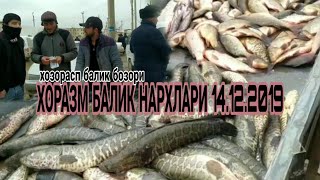 ХОЗОРАСП БАЛИК БОЗОР НАРХЛАРИ  14 декабря 2019 г. UZLIDER HD