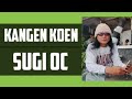 Kangen Koen cipt SUGI OC (Video Clip Official)