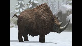 Woolly Rhino (Coelodonta) Sounds Version J.W