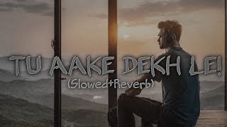 Tu Aake Dekh Le (Slowed+Reverb) Song ~ Lofi Songs 2024