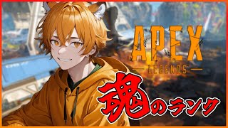 【Apex Legend】寝てたぁぁぁぁぁ爆睡かまして復活!!!サムネ作る時間なかった!!【ととら】