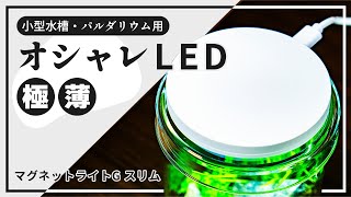 【ADA DOOA 新商品】マグネットライトGスリム スペック・使い方を紹介！マグネットライトGとの比較もあり【アクアリウム・パルダリウム用植物育成LEDレビュー】