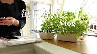 [Vlog28] 2023年 最近焼いたパンvol.13「1月のパン焼き」 毎日がパン 今日も焼いています