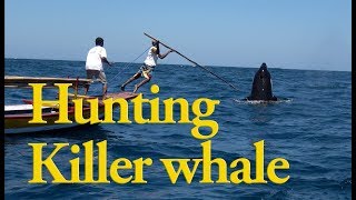 Whale Documentary - An Indonesian tribe Hunting a killer whale with traditional method. / 360VR