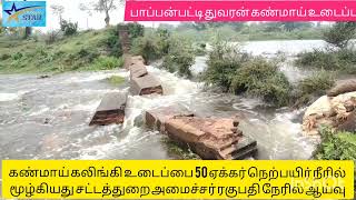 கண்மாய் கலிங்கி உடைப்பு 50 ஏக்கர் நெற்பயிர் நீரில் மூழ்கியதுசட்டத்துறைஅமைச்சர் ரகுபதி ஆய்வு