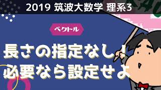 2019 筑波大学 理系３《ベクトル》長さの指定なし！必要なら設定せよ