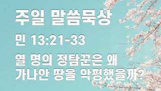 열 명의 정탐꾼은 왜 가나안 땅을 악평했을까?(민 13:21-33)