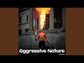 Aggressive Nature