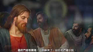 常年期第十三週星期三〖若望福音 20:24-29〗