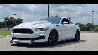 New Cervini 4' Cowl Hood on my Mustang GT