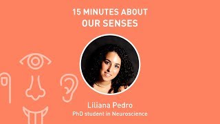 15x4 - 15 minutes about Our Senses
