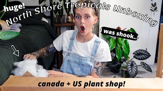 My favourite plant shop sent me PLANT MAIL 😱 North Shore Tropicals unboxing! 🌿