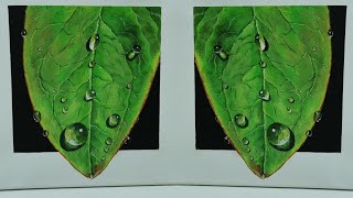 Water Drops on  Leaf || Step-by-Step Easy Acrylic Painting For Beginners.