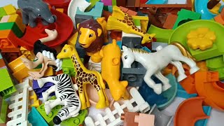 Satisfying Building Blocks Marble Run ASMR block coaster and many animals 29