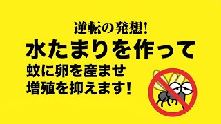 ボウフラストッパー出ちゃい缶【逆転の発想編】30秒テレビCM