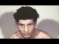 Joey Giardello - Beautiful Boxing