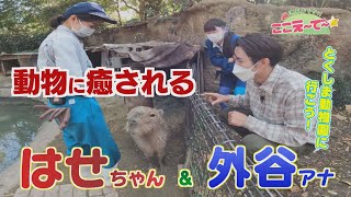 【ゴジカル！】週末おでかけ！ここえ～で～★とくしま動物園（徳島市）