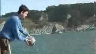 Cremated Remains/Golden Gate Bridge