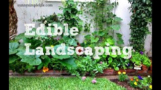 #Edible #Landscape #Flowering and Producing: A #Permaculture Approach