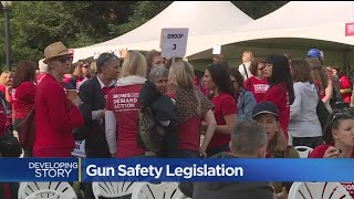 Gun Violence Survivors Demand Lawmakers Act