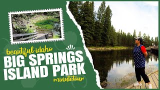 Big Springs, Island Park - Idaho | MinuteTour