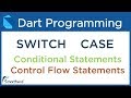 Dart SWITCH and CASE conditional statements. Dart Tutorial for Flutter #4.3